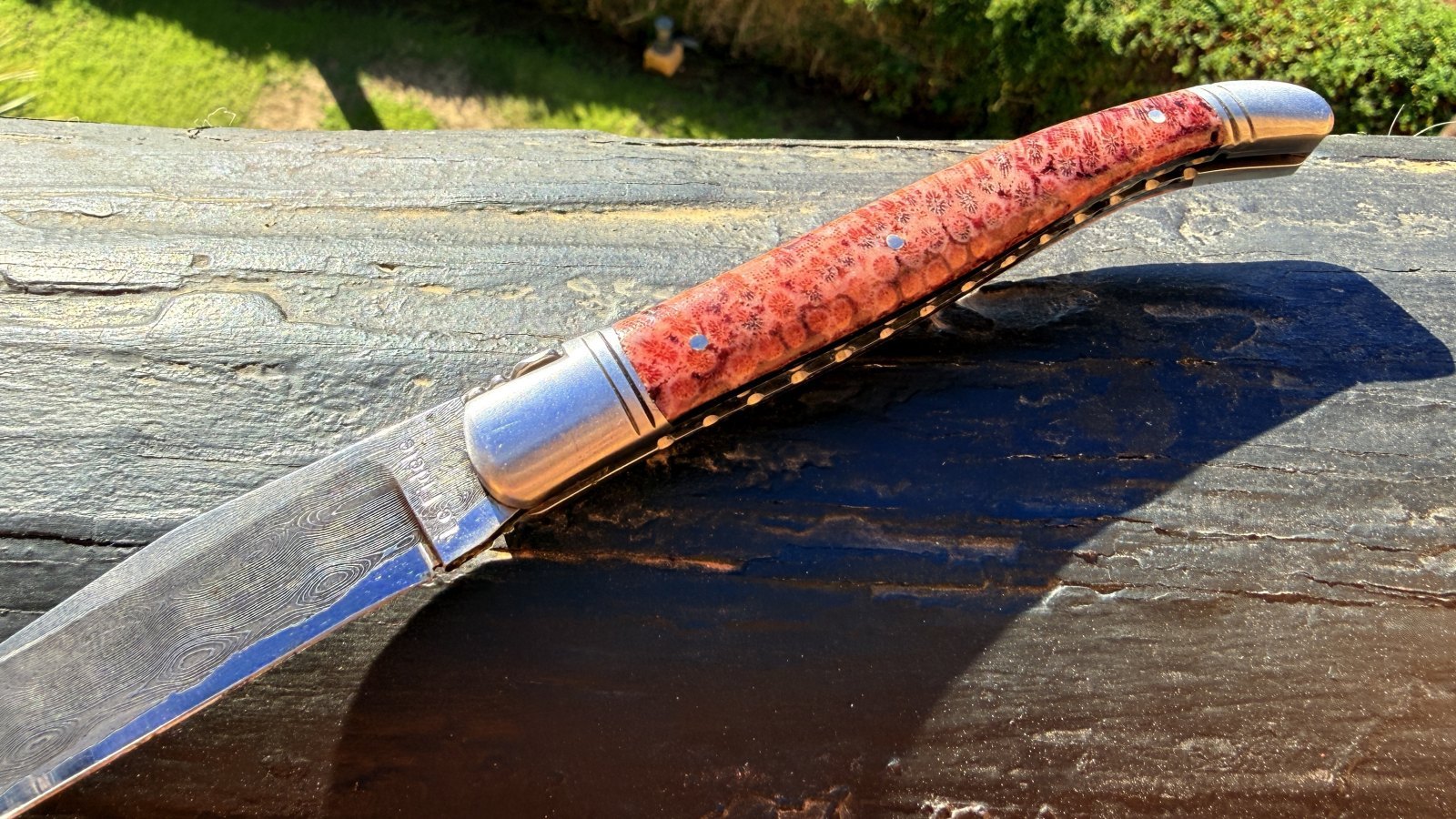 Laguiole le Fidele Korallengriff Damast brosse