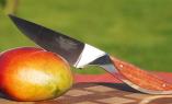 Allzweckmesser Haute Cuisine bei Claude Dozorme, exotisches Holz, 14 cm Ansicht 1