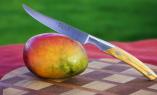 Allzweck/Steak-Küchenmesser Thiers Goyon-Chazeau Olive 13 cm Ansicht 1
