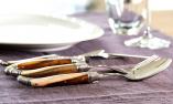 Laguiole-Besteckset 4-teilig, Goyon-Chazeau, Edition ART DE LUXE, 2-farbige Pistazie, brillant Ansicht 1