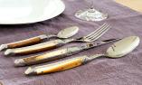 Thiers-Besteckset 4-teilig, Goyon Chazeau,Edition ART DE LUXE, 2-farbige Pistazie, brillant Ansicht 1