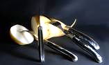 Claude Dozorme Laguiole 12-teilig. Steakmesser Set mit Gabeln, Horn, Messingbacken Ansicht 1