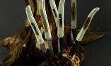 Claude Dozorme Laguiole 6-teilig Steakmesserset plumes panaches Ansicht 1