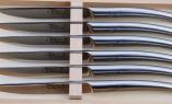 Goyon-Chazeau Thiers Set 6-teilig Steakmesser Monoblock glänzend Ansicht 1