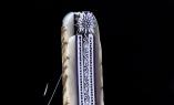 Halb-Unikat: Taschenmesser Laguiole David Dauvillaire, Edelweiss 02, brillant, tripple Platines, Widder Ansicht 1
