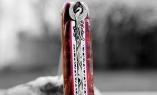 Halb-UNIKAT: Taschenmesser Laguiole David Dauvillaire, Edition RED PHOENIX, Birke, tripple Platines, brillant, Damast Ansicht 1