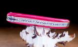 original-laguiole