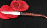 HALBUNIKAT: Laguiole Taschenmesser Mickael Ginisty, Edition JARES 09, Carbonfaser, brosse, guillochierte Biene, plein Ansicht 3