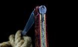 IKARIX 02 Frau: Laguiole-Taschenmesser David Dauvillaire, karellische Birke, tripple Platines, brillant Ansicht 1