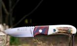 Jagdmesser / Outdoormesser Joker-AGUILA, 8,5 cm, Hirschhorn/Staminaholz Ansicht 1