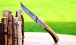 Jagdmesser Thiers Claude Dozorme, Damast, brosse, Horn, GoMo 2, 14 cm Ansicht 1