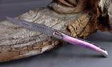 Taschenmesser Laguiole en Aubrac, brillant, Kamelknochen, guillochierte Biene Ansicht 1