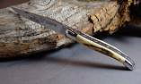 Taschenmesser Laguiole en Aubrac, double platines, brillant, Hirsch Horn Ansicht 1