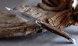 Taschenmesser Laguiole en Aubrac, double platines, brillant, Mammut-Knochen Ansicht 1