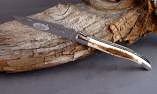Taschenmesser Laguiole en Aubrac, double platines, brillant, Mammutstoßzahn-Kruste Ansicht 1