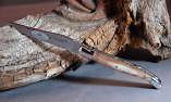 Taschenmesser Laguiole en Aubrac, double platines, brillant Widder Horn Kruste Ansicht 1