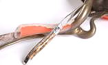 original-laguiole
