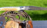 Taschenmesser Laguiole en Aubrac, double platines, brillant, Mammutstosszahn Kruste Ansicht 1