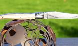 Taschenmesser Laguiole en Aubrac, guillochierte Platine, Mammutstosszahn Ansicht 1