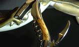 original-laguiole