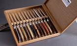 Laguiole Goyon-Chazeau, Edition ART ONE,  12-teilig, Steakmesserset Divers brillant  Ansicht 1