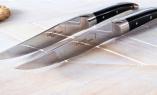 Laguiole Goyon-Chazeau, Edition ART ONE, 2-tlg, Steakmesserset Ebenholz, brillant Ansicht 1