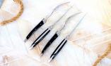 Laguiole Goyon-Chazeau, Edition ART ONE,  4-tlg, Steakmesser+Gabel, Ebenholz, brillant Ansicht 1