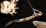 Laguiole-Sommelier von Forge de Laguiole Edition ACHEMIST 02, Hybrid-Holz, brillant Ansicht 2