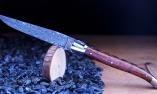 Laguiole-Taschenmesser Fontenille Pataud, Edition DARES, Amourette, brillant, guillochierte Biene, 13 cm Ansicht 1