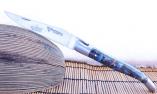 Laguiole-Taschenmesser Laguiole en Aubrac, Edition FUSION blau, Double Platines, brosse Ansicht 1