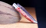 original-laguiole