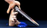 Laguiole Taschenmesser Mickael Ginisty, Edition JARES 03, Horn, brosse, guillochierte Biene, plein Ansicht 1