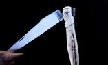 Laguiole Taschenmesser Philippe Voissiere, limitierte Edition LORD, Mammutstoßzahn/Hirsch, brosse, guillochierte Biene + 35 CARMOS Ansicht 1