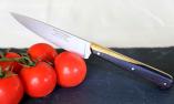 Le P tit Tradi Küchenmesser von Goyon-Chazeau, Ebenholz, 20 cm lang, Officemesser Ansicht 1