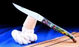 LIMITIERT: Taschenmesser Laguiole David Dauvillaire, Edition MAX HEIDE 01, brosse, Triple Platines Ansicht 1