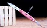 Multitool Douris Chastel Edition ARTIGON 04, 3-teilig, brosse, Pappelholz rot Ansicht 1