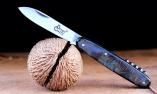 original-laguiole