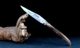 Taschenmesser Laguiole en Aubrac, PLEIN, Spitz-Horn, brillant Ansicht 1