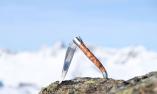 Taschenmesser Laguiole en Aubrac, Brosse, Wacholder,guillochierte Biene Ansicht 1
