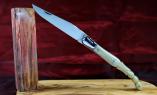 Taschenmesser Laguiole Philippe Voissière, Edition AILE DE PIGEON, Horn blond, guillochierte Biene, brosse Ansicht 1