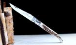 Taschenmesser Laguiole Claude Dozorme, Hirsch-Horn, guillochierte Biene, brillant Ansicht 1