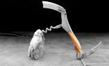 Laguiole en Aubrac, Sommelier, Brosse,  Olive Ansicht 1
