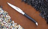 Taschenmesser Laguiole en Aubrac, brillant, Carbon, guillochierte Biene Ansicht 1