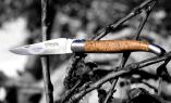 Taschenmesser Laguiole en Aubrac, Brosse, Korkeiche, guillochierte Biene Ansicht 1