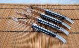 Laguiole en Aubrac 4-teilig, Steakmesser Set Aubracien Büffel Ansicht 1