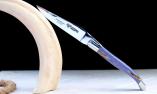Taschenmesser Laguiole en Aubrac, brillant, Sycomore Blau, guillochierte Biene Ansicht 1