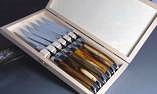 Laguiole Honore Durand 6-tlg. Steakmesser Set 2 farbige Pistazie Ansicht 1