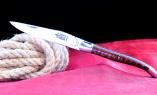 Taschenmesser Laguiole Arbalete Genes David, Edition Prestige, Amourette, Schlangenholz, brillant Ansicht 1
