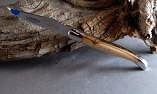 Taschenmesser Laguiole Honore Durand, Première 14C28N, 2-farbige Pistazie Ansicht 1