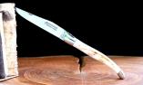 Taschenmesser Laguiole Fontenille Pataud phacochere Warzenschwein, brillant, guillochierte Biene Ansicht 1